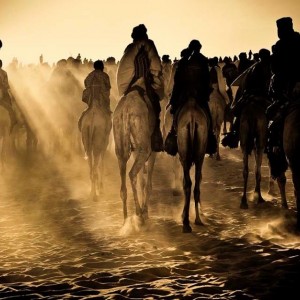 Camel Race Fine Art Print